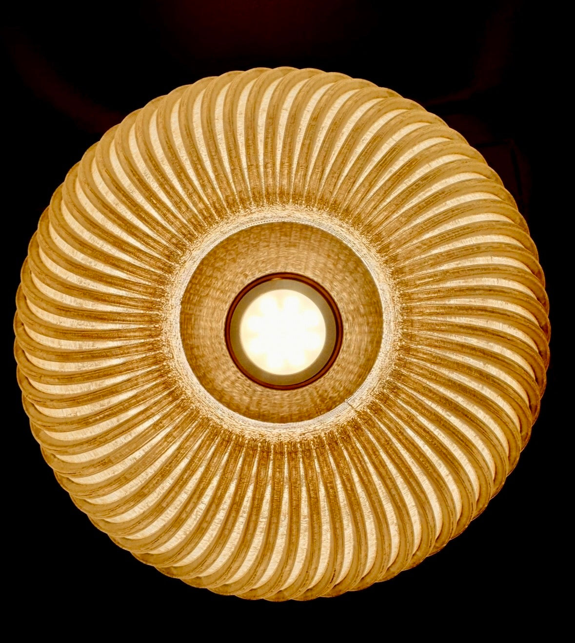 Echino Lamp