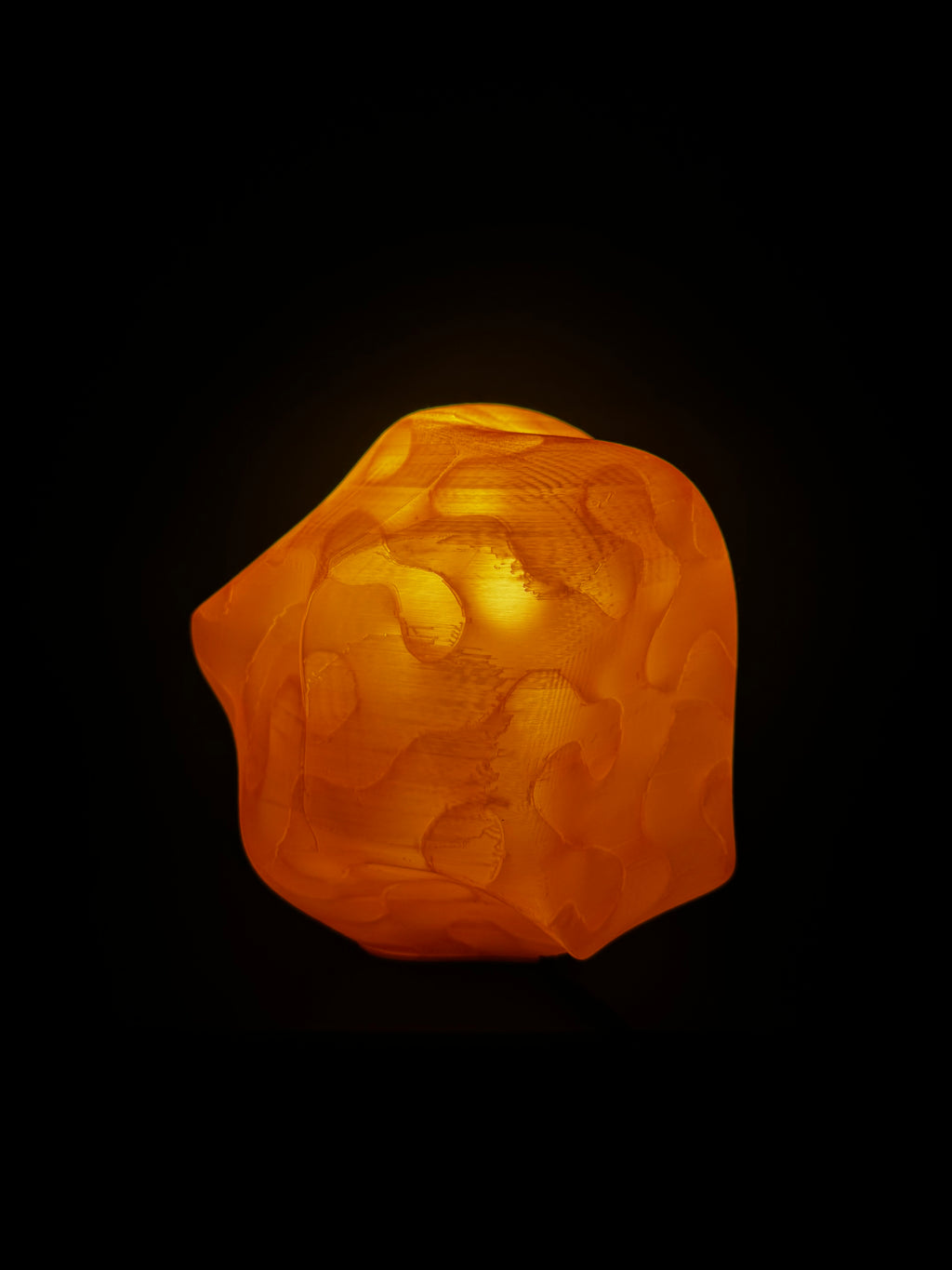 Wasp nest lamp