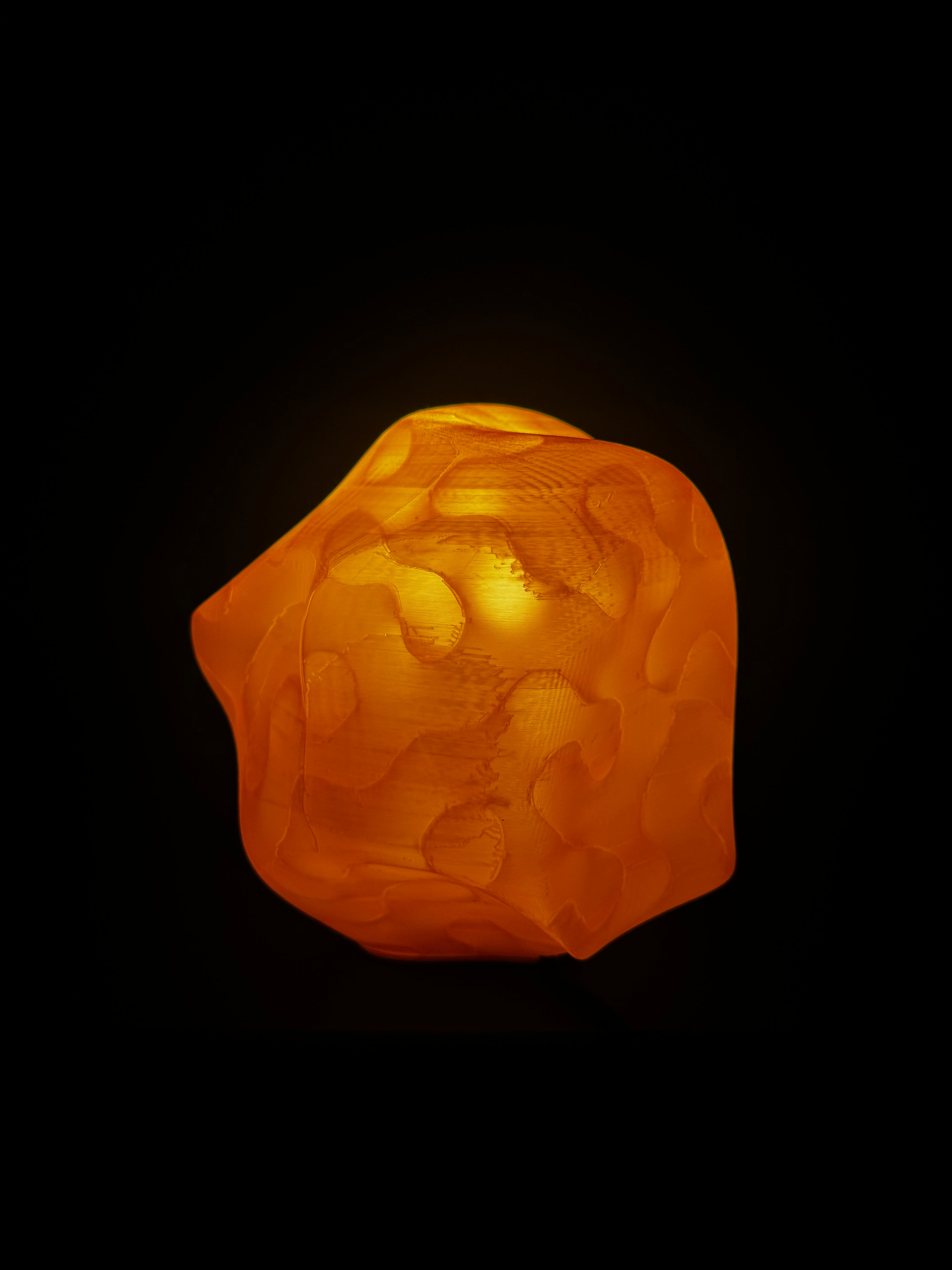 Wasp nest lamp