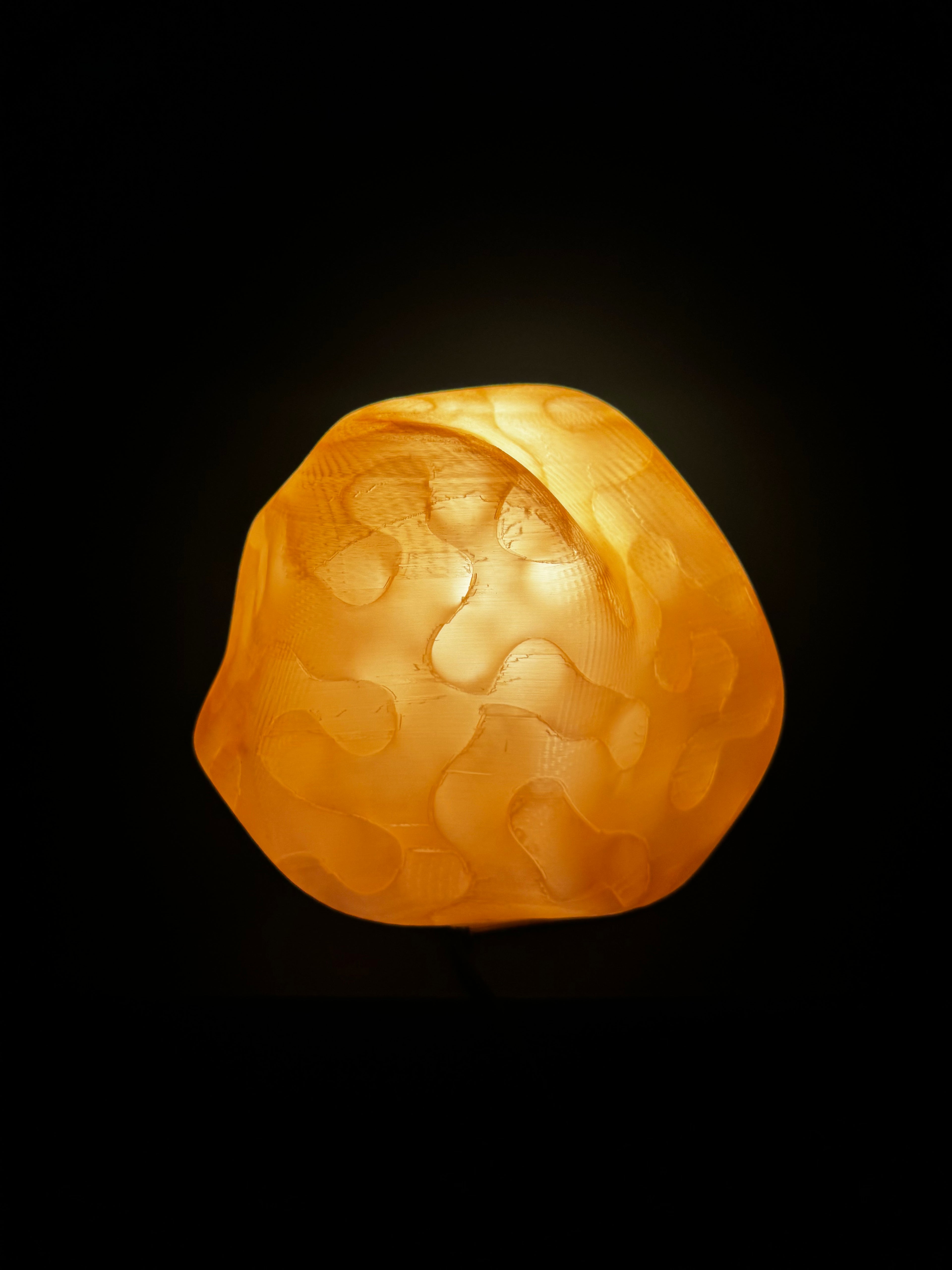 Wasp nest lamp