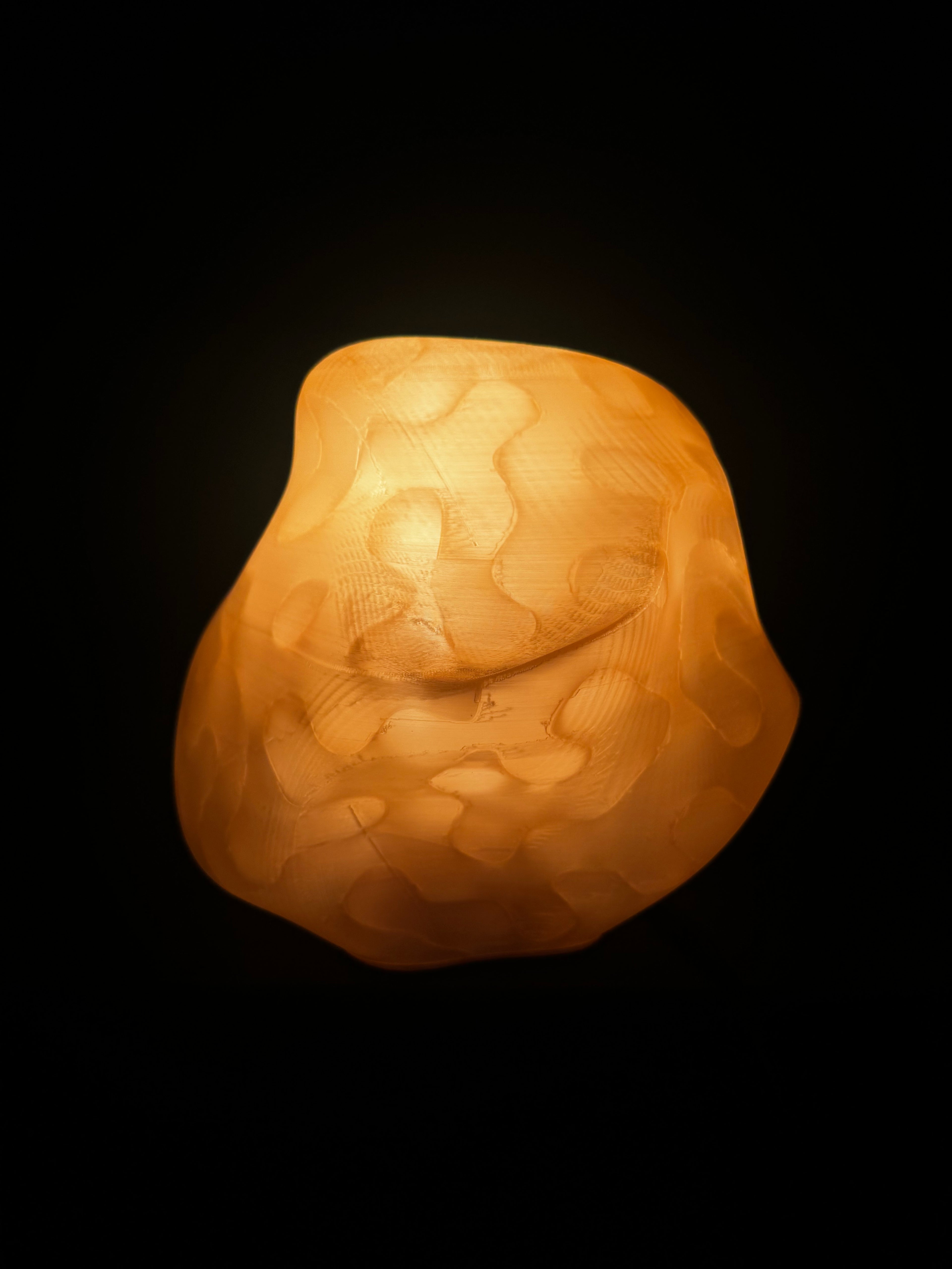 Wasp nest lamp