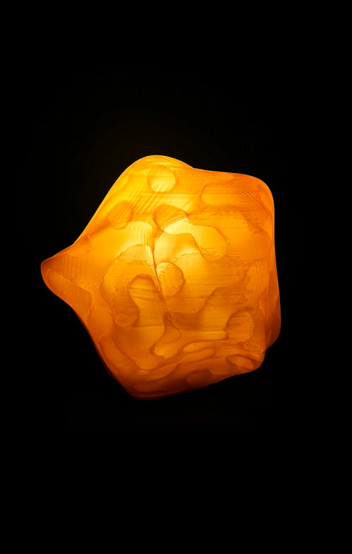 Wasp nest lamp